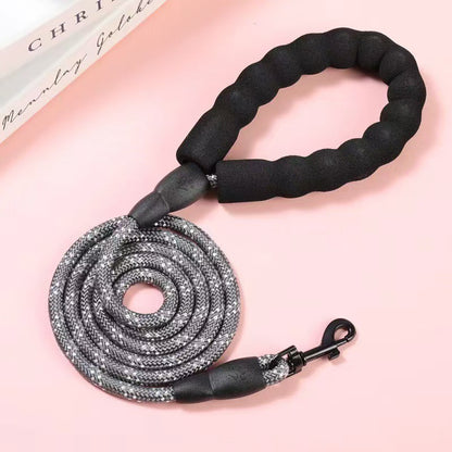 Nylon Dog Walking Leash