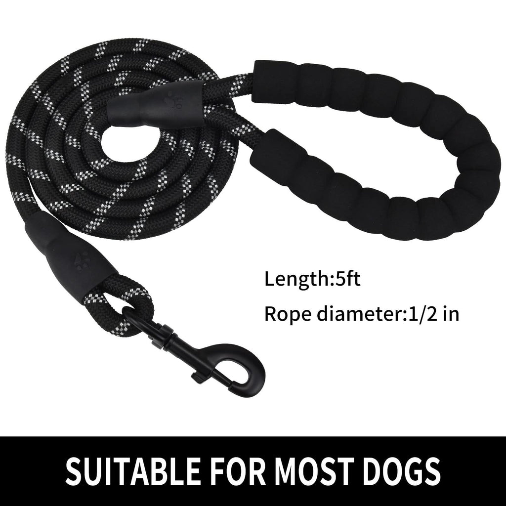 Nylon Dog Walking Leash