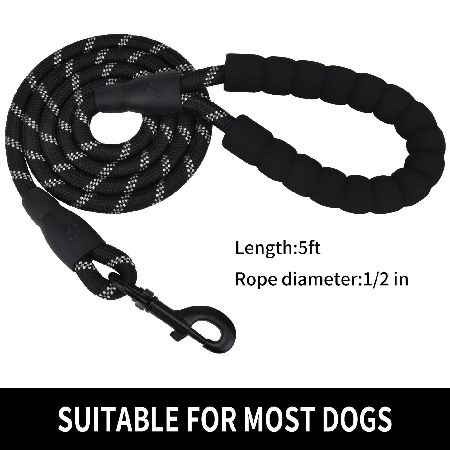 Nylon Dog Walking Leash