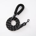 Nylon Dog Walking Leash