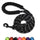Nylon Dog Walking Leash